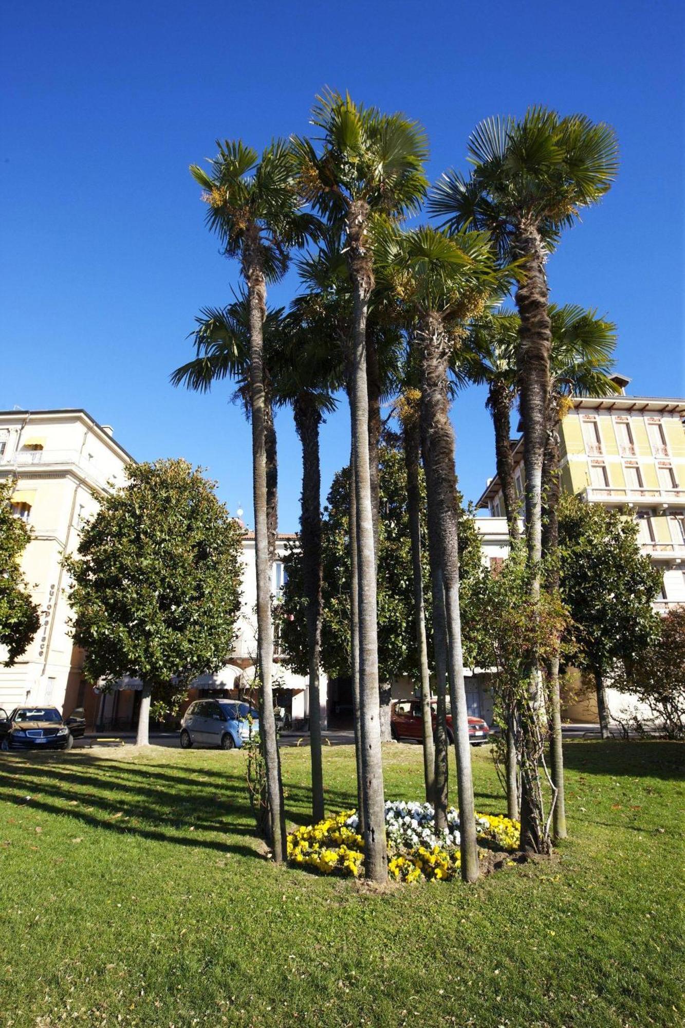 Appartamenti Lungolago Verbania Bagian luar foto